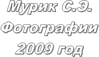  ..

2009 