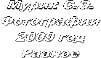  ..

2009 
