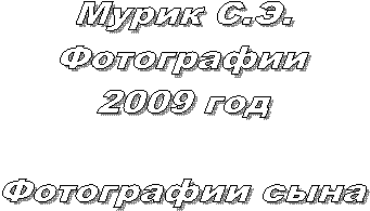  ..

2009 

 
