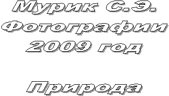  ..

2009 


